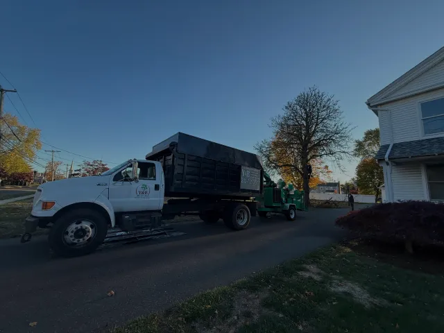 work photo from yandbtreeservices.com