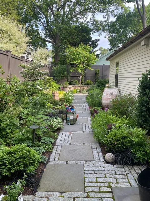 Lil' bugs gardening services work photo