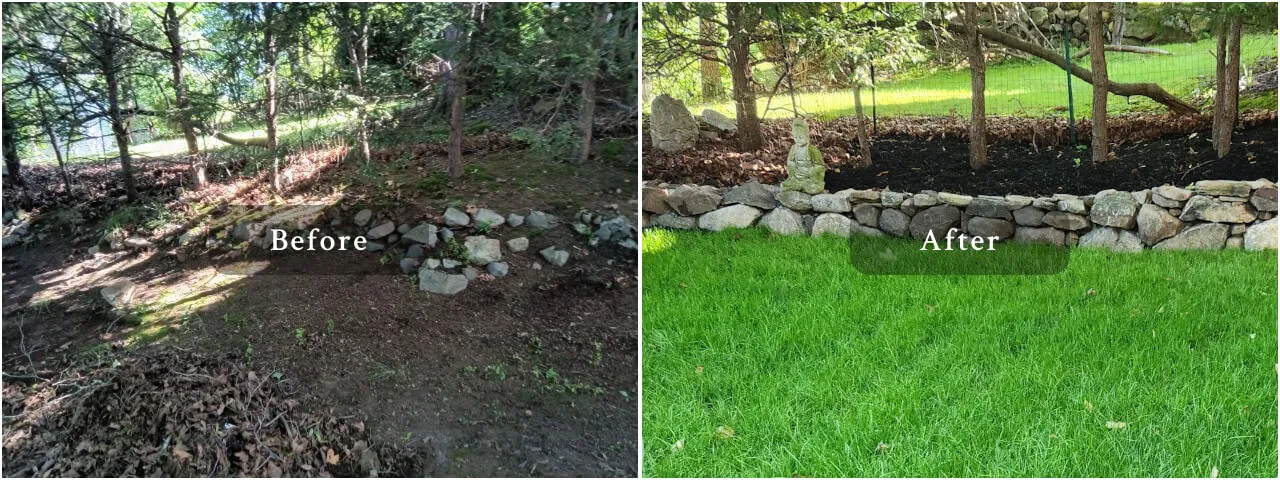 appleton st Landscaping