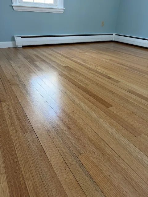 Empty room with hardwood floors, blue walls, a window, and a white baseboard heater.