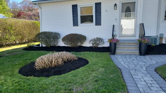 Freshly mulched garden bed with trimmed shrubs beside a brick paver walkway leading to a white house entrance