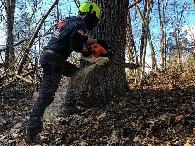 work photo from krohnkutztree.com