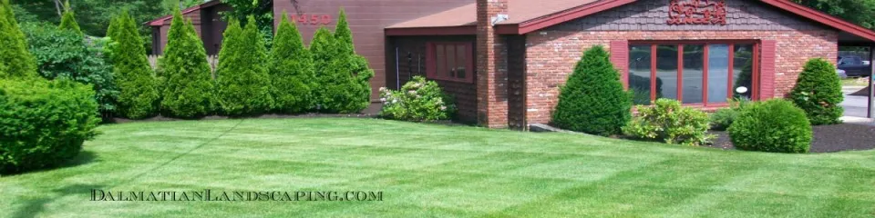 work photo from dalmatianlandscaping.com