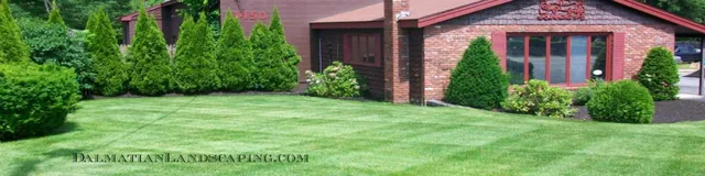 work photo from dalmatianlandscaping.com