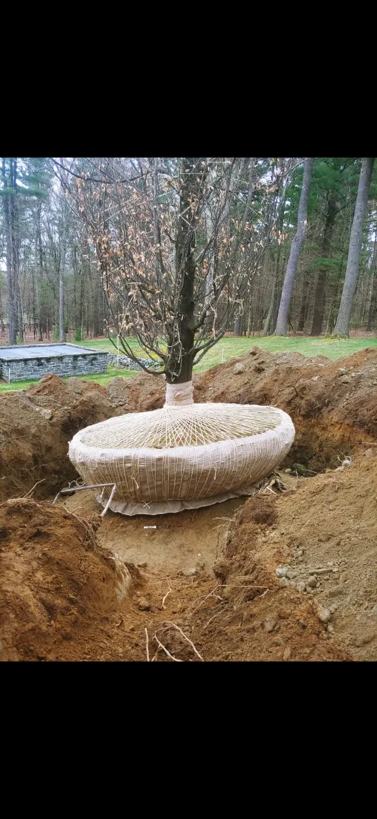 work photo from naturetouchlandscaping.com