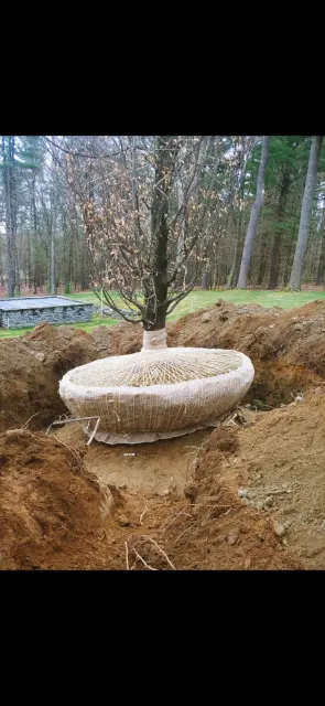 work photo from naturetouchlandscaping.com