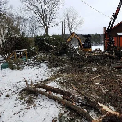J. Bonin Tree Services, LLC verified work photo