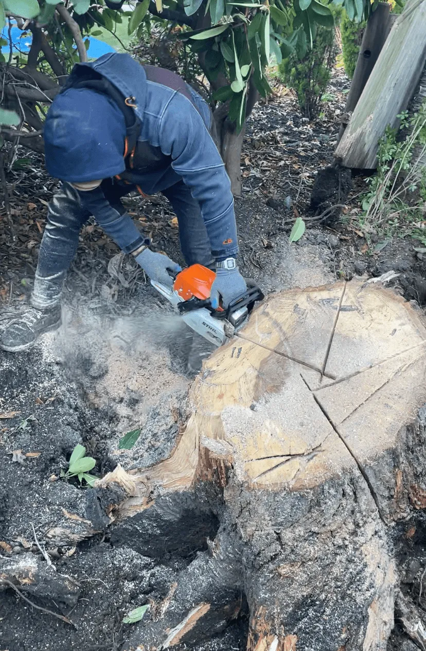 work photo from odonnelllandscapema.com