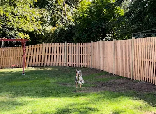 Mr Fence Guy work photo