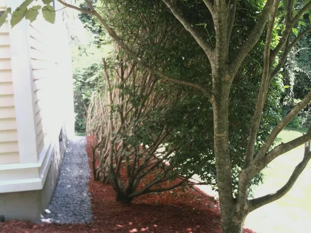 work photo from greenvistaslandscaping.com