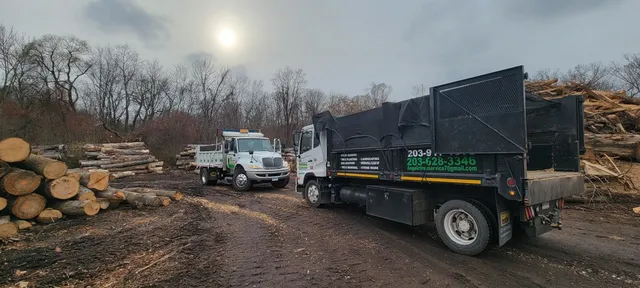 work photo from angelotreeservices.com