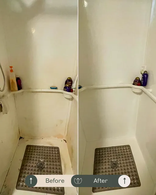 Olive Cleaning Services work photo