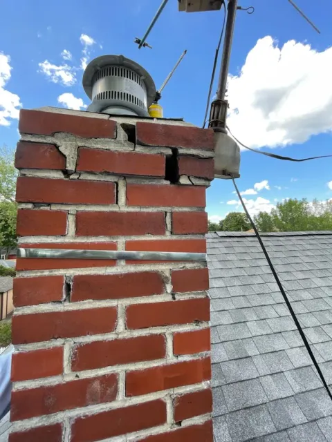work photo from sandmpestservices.com