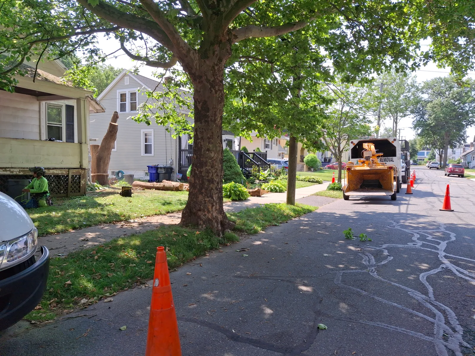 work photo from Google listing