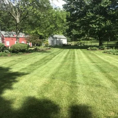 Weekly mowing for a clean, striped lawn