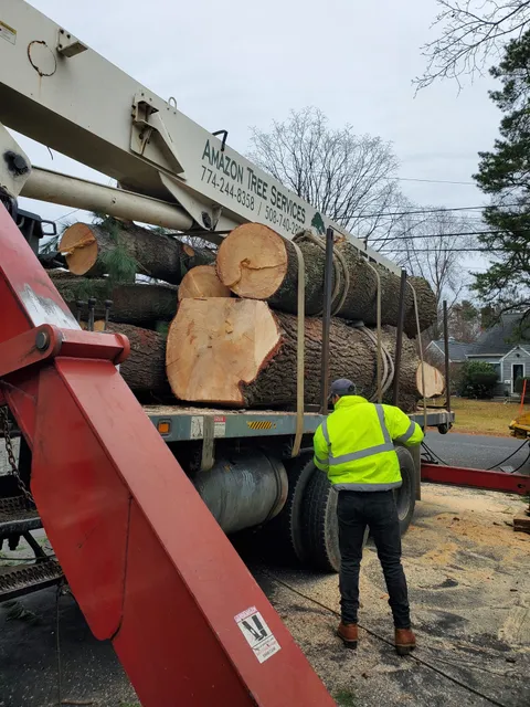 Amazon Tree Services work photo