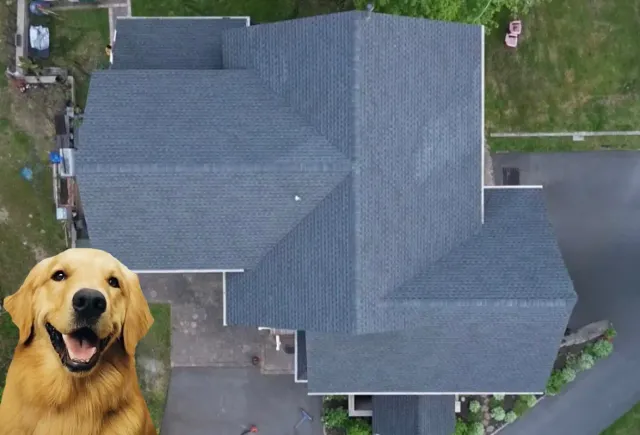 Roof Repair