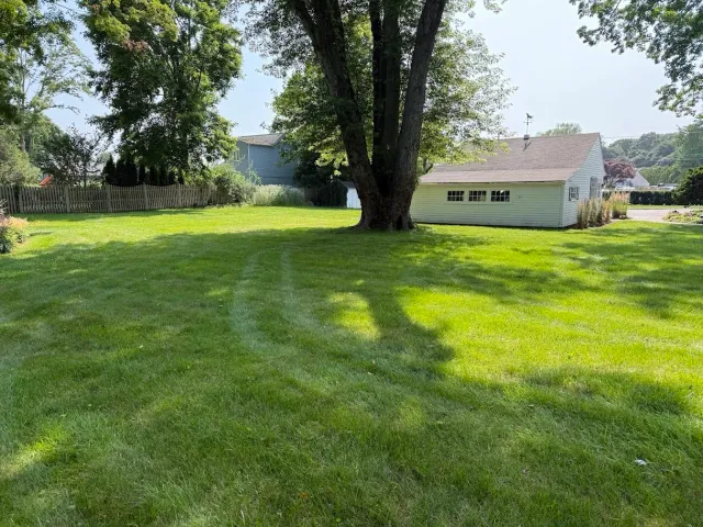 A green backyard with a large tree in the center, a white shed, a wooden fence, and neighboring houses in the background, on a sunny day with clear skies.