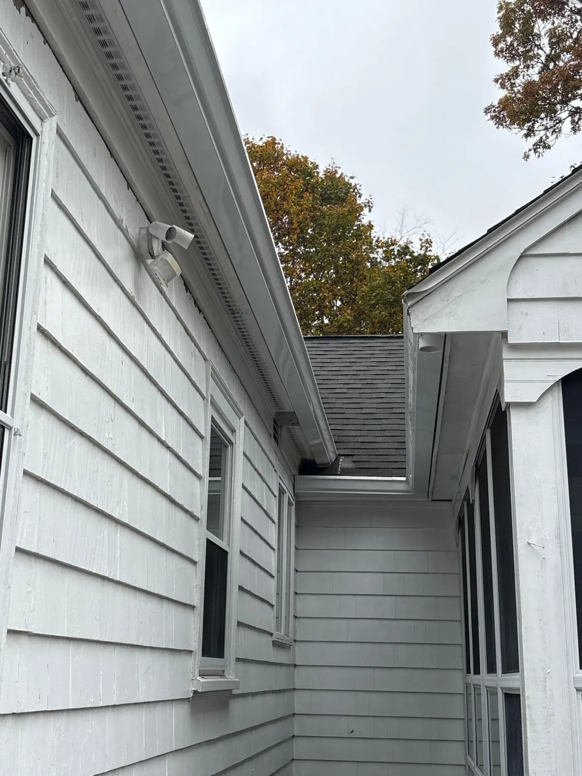 Narrow side passage between white house walls with windows and autumn trees visible above