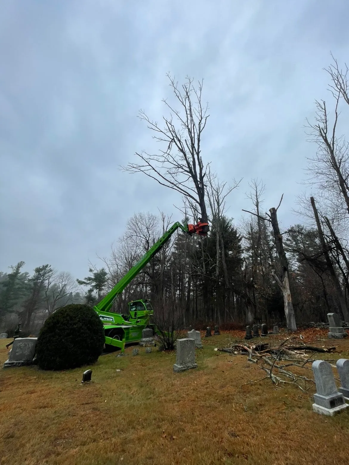 work photo from Google listing