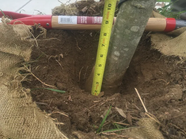work photo from medeiroshydroseeding.com