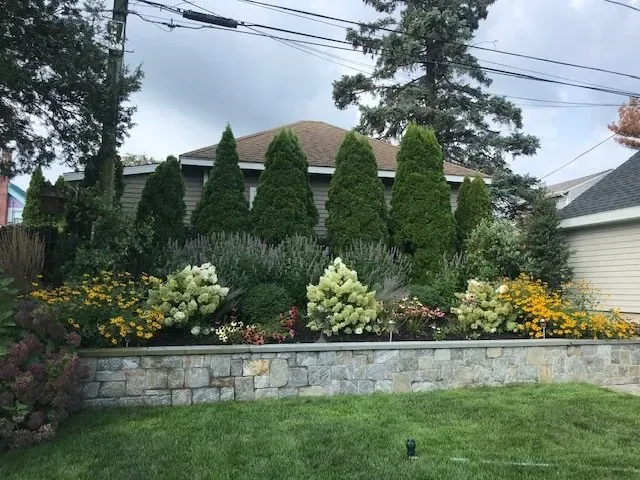 A lush garden bed with various plants and evergreen trees in front of a house with a stone wall and green grass.