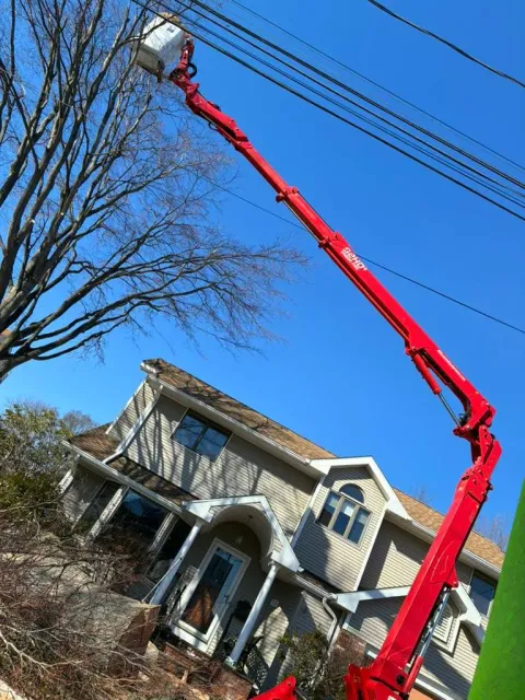 Crane Tree Service Connecticut