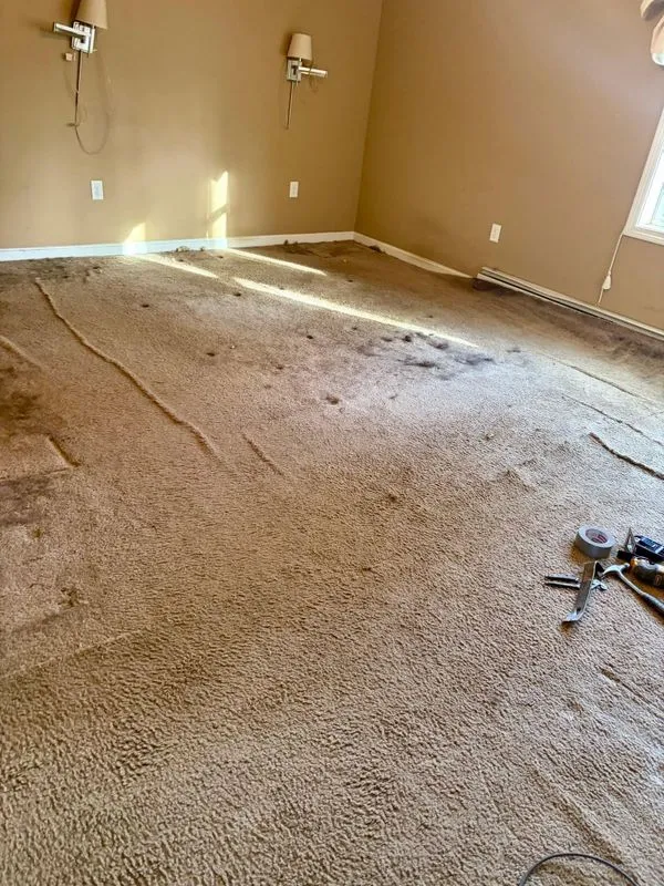 Transformative Flooring Upgrade: From Worn Carpet to Stylish Elegance