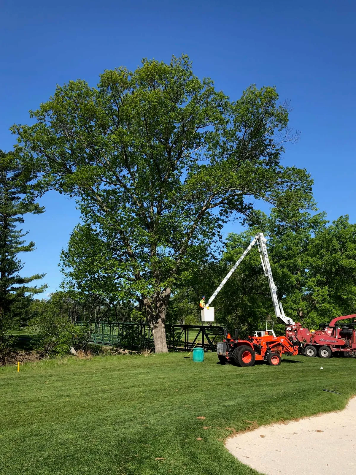 work photo from Google listing