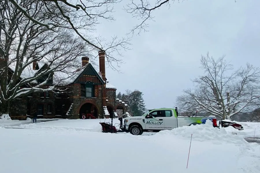 Molloy Lawn & Landscape