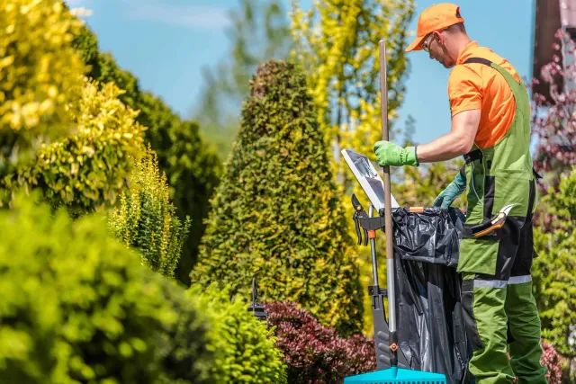 Tree and Shrub Planting