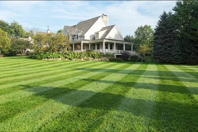 Top Choice Land Management work photo