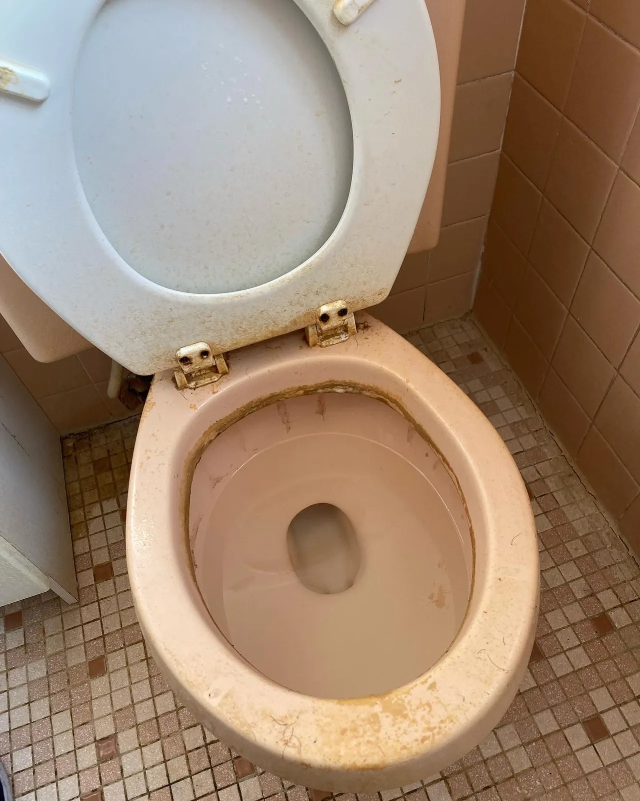 Cleanliness Solution researched project photo