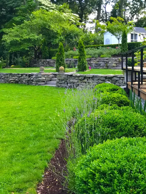 work photo from plantdesigntherapy.com