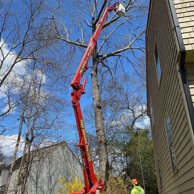 work photo from allscapestreeri.com