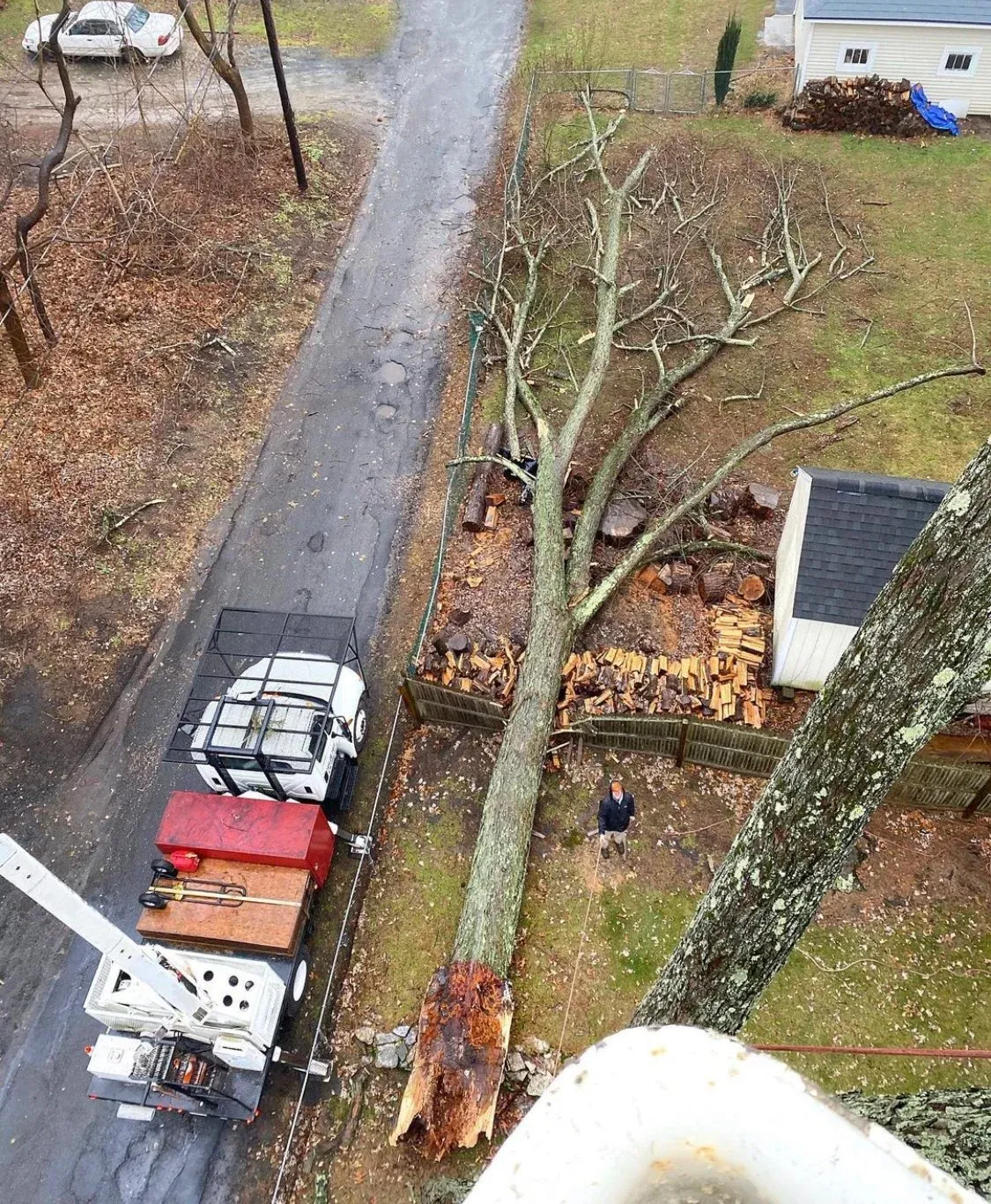 Taylor Tree Service provides tree removal, tree trimming, stump grinding services to MA Hampden County, Hampshire County, lower Berkshire and Worcester County as well as Hartford County and Tolland County CT.