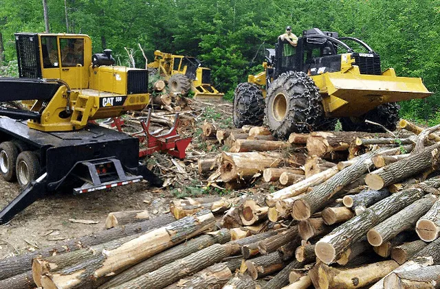 work photo from andersontimberharvesting.com