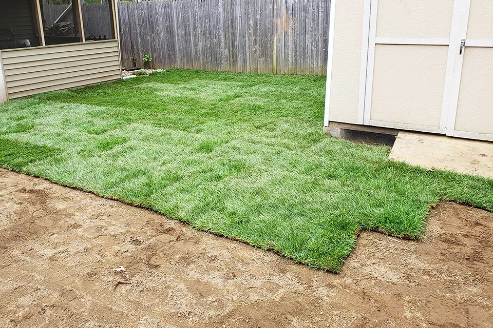The best lawn repair in Springfield, MA