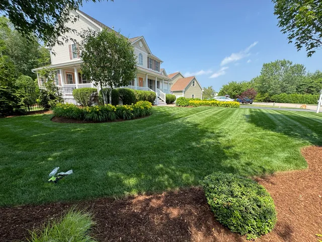 Morales and Sons Landscaping work photo