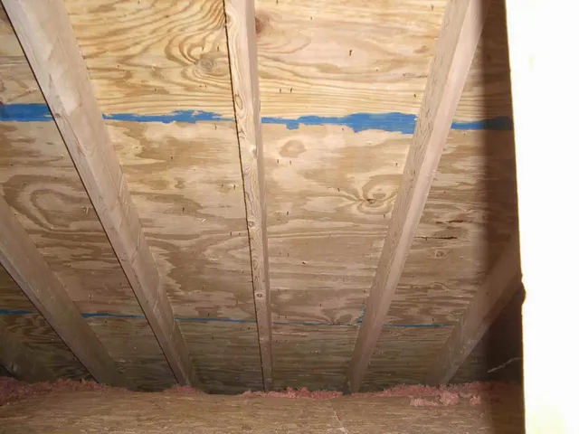 A-1 Mold Pro work photo