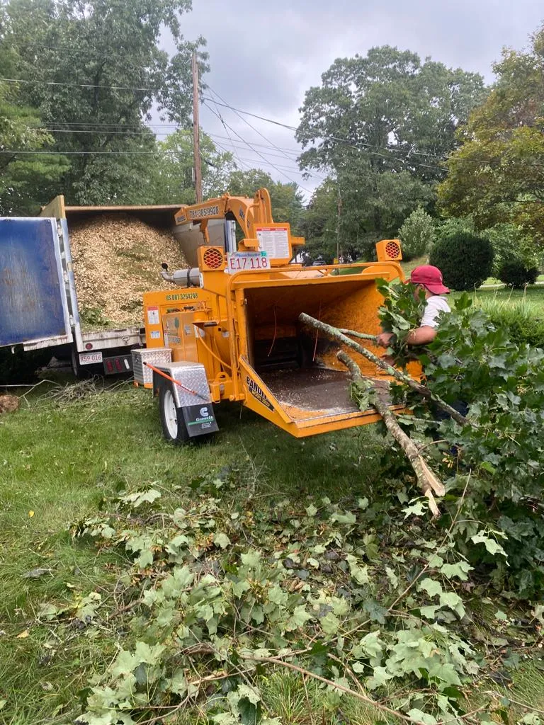4seasons Tree service & Landscaping LLC