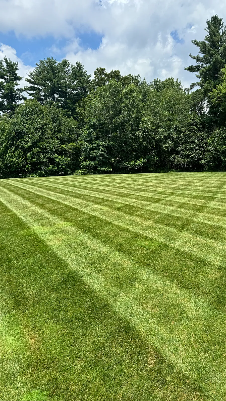 work photo from davislandscapingma.com