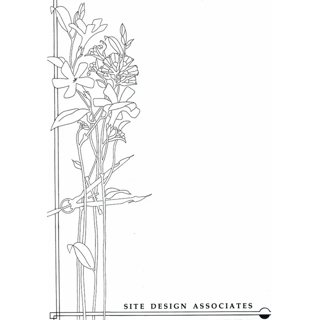 Site Design Associates logo