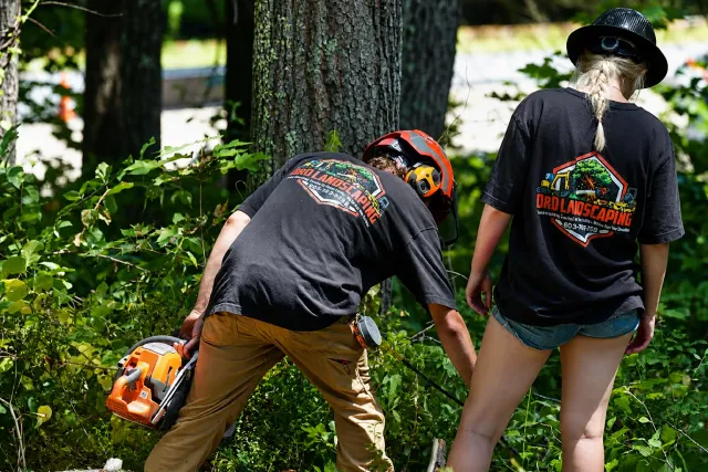 work photo from dndlandscapingnh.com