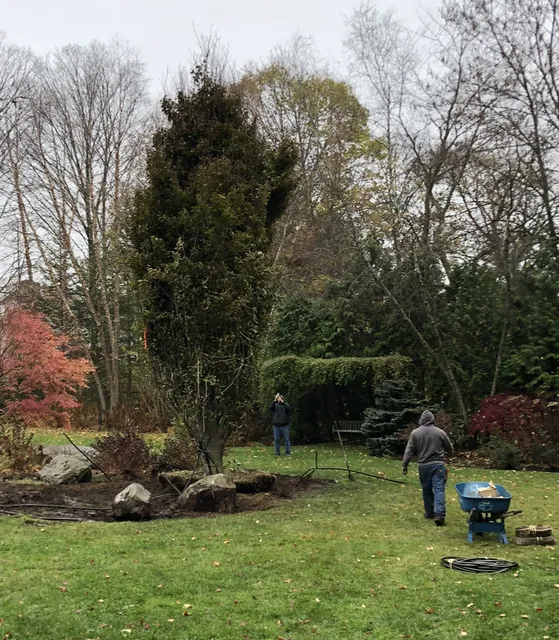 Acorn Tree & Landscaping inc. researched project photo