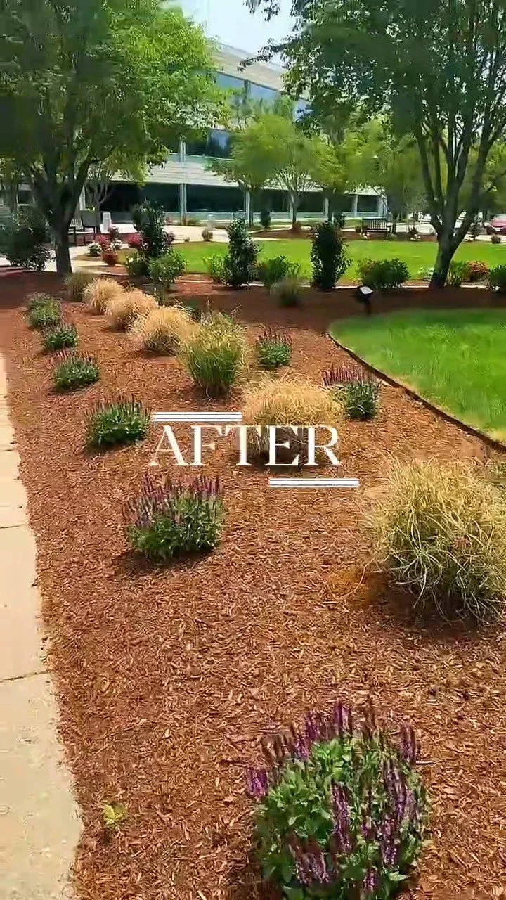 work photo from masslawnpros.com