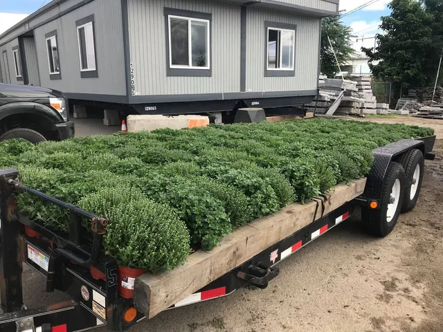 MJ Nicholls Landscaping LLC researched project photo