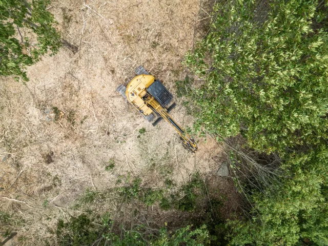 Forestry mulching equipment clearing hillside vegetation and opening views in Meredith, NH