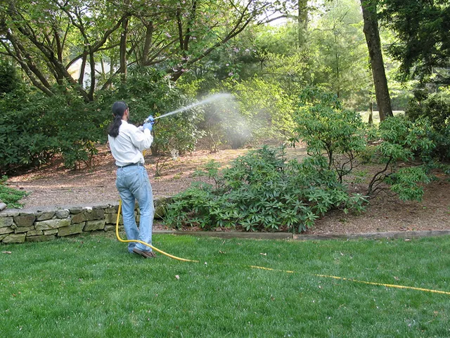 White Oak Horticultural Services work photo