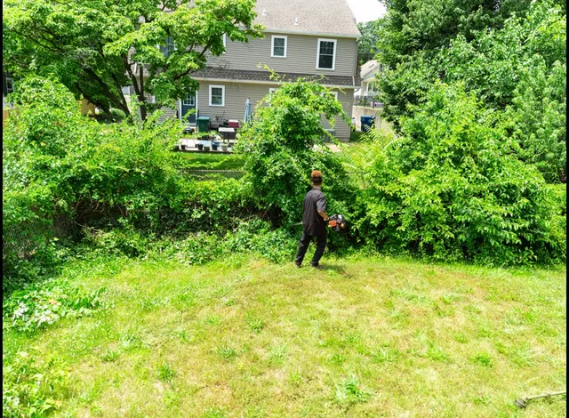 Before — overgrown Connecticut property prior to landscaping cleanup